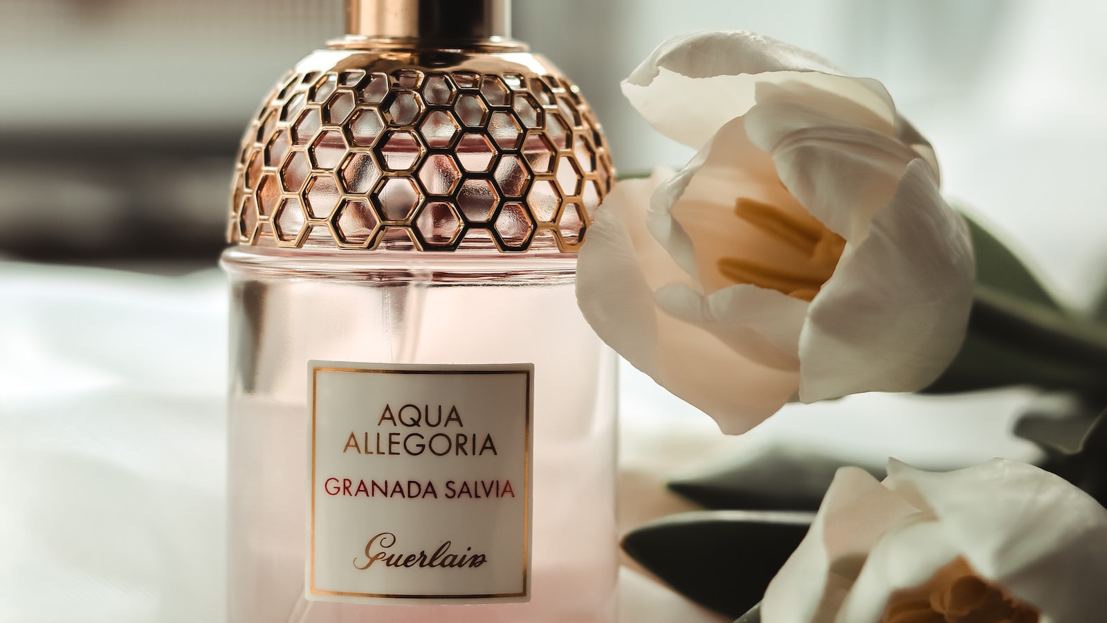 Composição aromática: ‌um fator-chave para distinguir perfume e colônia